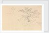 Study of a dog wearing collar and of tree branches by John Christian Schetky