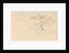 Study of a dog wearing collar and of tree branches by John Christian Schetky
