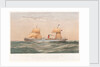 Royal Mail steam ship 'Taymouth Castle' by Thomas Goldsworth Dutton
