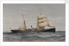 Cape and Natal Line SS 'Majuba' or 'Elmina' by Thomas Goldsworth Dutton