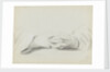 Study of folded hands by Margaret Louisa Herschel