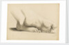 Study of a pair of feet crossed at the ankles by Margaret Louisa Herschel