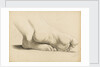 Study of a pair of feet crossed at the ankles by Margaret Louisa Herschel