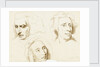 Three sketches of a woman's face by Margaret Louisa Herschel