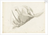 Study of the folds of a lady's skirt by Margaret Louisa Herschel