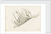 Study of the folds of a lady's skirt by Margaret Louisa Herschel