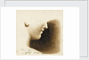 Study of the nose, mouth and chin of a human figure by Margaret Louisa Herschel