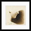 Study of the nose, mouth and chin of a human figure by Margaret Louisa Herschel