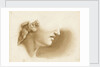Study of the lower part of a human face, possibly a statue by Margaret Louisa Herschel