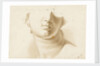 Study of the lower half of a human face, possibly a statue by Margaret Louisa Herschel