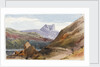 View of an island in Scotland by Margaret Louisa Herschel