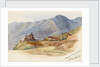 On the road between Muccorice and Simla, 11 October 1877' by Matilda Rose Herschel