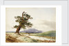 View of a tree near a river with cattle drinking and purple hill beyond by John Frederick William Herschel