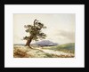 View of a tree near a river with cattle drinking and purple hill beyond by John Frederick William Herschel