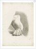 Study of a foot with toes bent by Matilda Rose Herschel