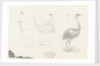 Wooley Park, 27 July 1878 by S.E. Hardcastle