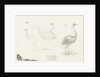 Wooley Park, 27 July 1878 by S.E. Hardcastle