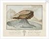 La Grosse Pierre sur le Glacier de Vorderaar. Canton de Berne Province d'Oberhasbi by unknown