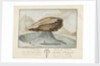 La Grosse Pierre sur le Glacier de Vorderaar. Canton de Berne Province d'Oberhasbi by unknown