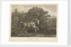 Horse at Play by George Stubbs