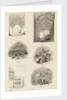 Page from Charles Knight's 'Old England: A Pictorial Museum' by Unknown