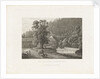 The abbey of Lichtenthal near Baden by C. Frommel