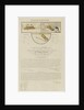 Gover Patentee... gun carriage invented by John Gover of Rotherhithe by P. Roberts