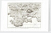 Geometrical survey of the environs of Toulon by Thomas Foot