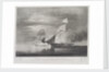 Capture of the slave Schooner 'Bolodora', by HM schooner 'Pickle' by William John Huggins