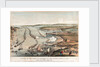 Review of the fleet at Spithead by the Queen, 23 April 1856. by Thomas Packer