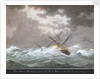 Brig schooner 'Cosmopolitan' of Ipswich by Nicholas Cammillieri