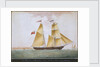 Brig schooner 'Cosmopolitan' of Ipswich by Nicholas Cammillieri