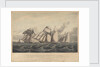 This Print representing the Waterford Line Schooners, Alexander..., Martha... and Rapid... off the Hook Light by John Lynn