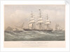 The Albion Shipping Company's Ships by William Clark and Thomas Goldsworthy Dutton