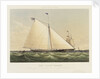 The yacht 'Maria' by Thomas Sewell Robins