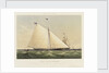 The yacht 'Maria' by Thomas Sewell Robins
