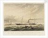 The iron steam yacht 'Peterhoff' by Thomas Sewell Robins