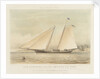 The schooner yacht 'America' by Thomas Sewell Robins