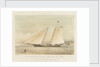 The schooner yacht 'America' by Thomas Sewell Robins