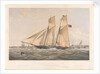 The Iron Schooner Yacht Titania, 100 Tons by Thomas Goldsworthy Dutton; William Foster; Day & Son