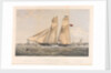 The Iron Schooner Yacht Titania, 100 Tons by Thomas Goldsworthy Dutton; William Foster; Day & Son