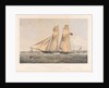 The Iron Schooner Yacht Titania, 100 Tons by Thomas Goldsworthy Dutton; William Foster; Day & Son