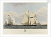 The schooner yacht 'Flying Cloud' by Josiah Taylor