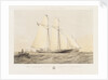 The schooner yacht 'Sverige' by Thomas Sewell Robins