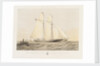The schooner yacht 'Sverige' by Thomas Sewell Robins