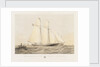 The schooner yacht 'Sverige' by Thomas Sewell Robins