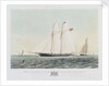 The schooner yacht 'Rosalind' by Thomas Sewell Robins