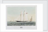 The schooner yacht 'Rosalind' by Thomas Sewell Robins
