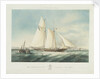 The schooner yacht 'Czarina' by Thomas Sewell Robins