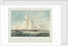 The schooner yacht 'Czarina' by Thomas Sewell Robins